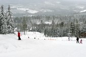 Enlarge photo 16
