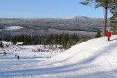 Enlarge photo 63