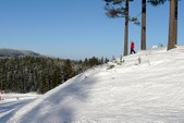 Enlarge photo 64
