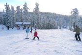 Enlarge photo 43