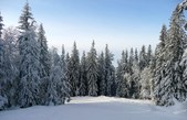 Enlarge photo 51