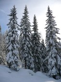 Enlarge photo 50