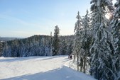Enlarge photo 54