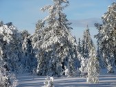 Enlarge photo 48