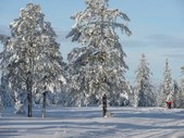 Enlarge photo 47