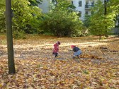 Enlarge photo 25