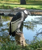 Enlarge photo 55