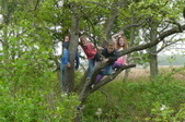 Enlarge photo 19