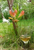Enlarge photo 28