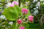 Enlarge photo 26