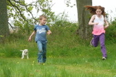Enlarge photo 29