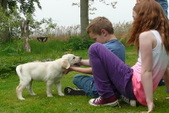 Enlarge photo 30