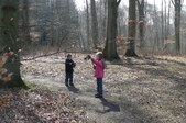 Enlarge photo 16