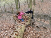 Enlarge photo 22