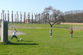Enlarge photo 26