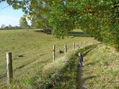 Enlarge photo 13