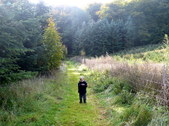 Enlarge photo 15
