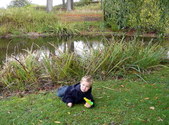 Enlarge photo 17