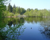 Enlarge photo 1