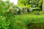 Enlarge photo 6