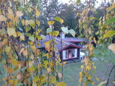 Enlarge photo 19