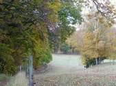 Enlarge photo 17