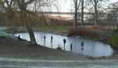 Enlarge photo 26