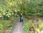 Enlarge photo 11