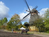 Efterårsferie 2009