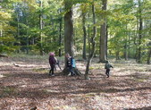 Enlarge photo 17