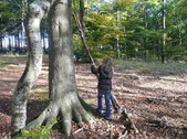 Enlarge photo 18