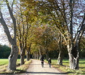 Enlarge photo 27