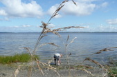 Enlarge photo 25