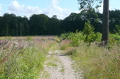 Enlarge photo 26