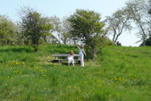 Enlarge photo 3