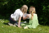 Enlarge photo 23