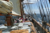 Enlarge photo 32