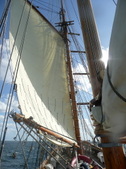 Enlarge photo 33