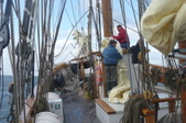 Enlarge photo 41