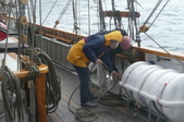 Enlarge photo 42