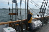 Enlarge photo 44