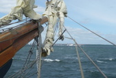 Enlarge photo 45