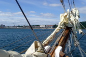 Enlarge photo 46