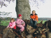 Enlarge photo 26