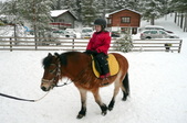 Enlarge photo 51