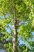 Enlarge photo 56