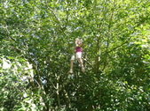 Enlarge photo 64