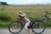 Enlarge photo 74