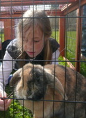 Enlarge photo 78