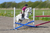 Enlarge photo 84